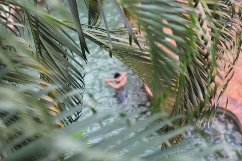 Coral Tree Inn - Sydneys Hotel 36