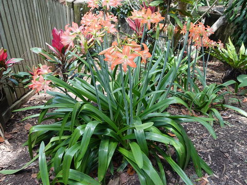 Winston Cottage - Sydneys Hotel 2