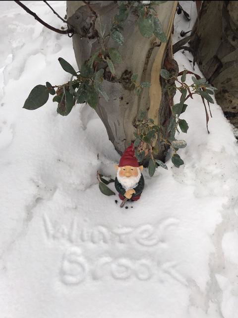 Winterbrook Chalet - Sydneys Hotel 3