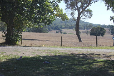 Wonky Stables Holiday Park - Sydneys Hotel 2