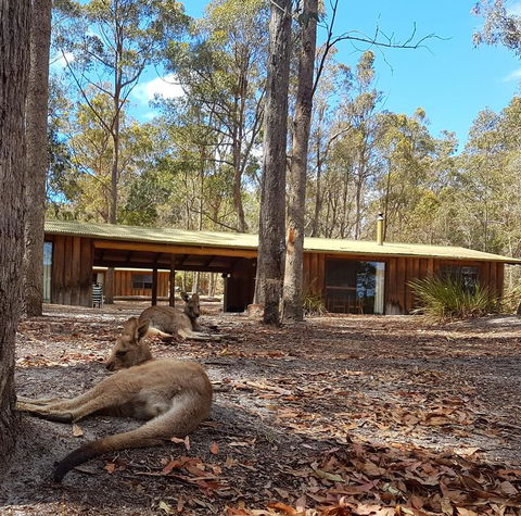 Woodbine Park Eco Cabins - Sydneys Hotel 2