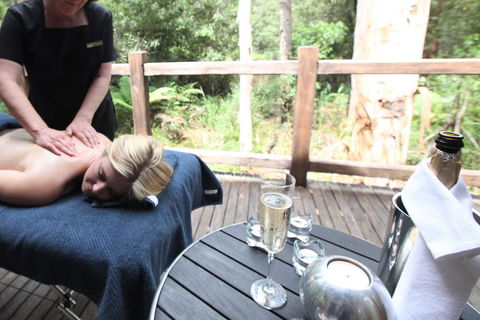 Woodlands Rainforest Retreat - Sydneys Hotel 3