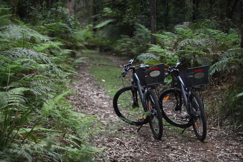 Woodlands Rainforest Retreat - Sydneys Hotel 2
