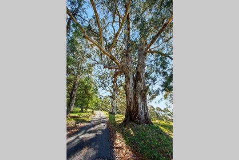 WOOLWAY - Sydneys Hotel 1