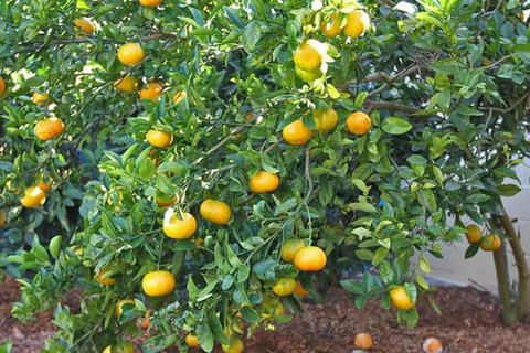 A LITTLE GREY SHACK - Sydneys Hotel 4