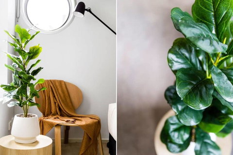 A Stylish 2BR Apt Next To Vic Market FREE Parking - Sydneys Hotel 4