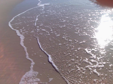 Enjoy The Sea Breezes From The Balcony - Boyd St, Woorim - Sydneys Hotel 2