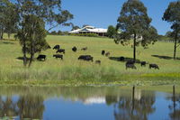 Book Nabiac Accommodation Vacations Sydneys Hotel Sydneys Hotel