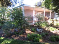Book Irymple Accommodation Vacations Sydneys Hotel Sydneys Hotel