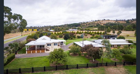 505 CONROD STRAIGHT MOUNT PANORAMA - Sydneys Hotel 1