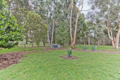 A Grape Escape - Sydneys Hotel 3