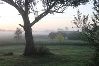 Book Heyfield Accommodation Vacations Sydneys Hotel Sydneys Hotel