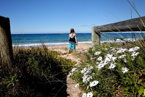 Absolute Beachfront Mollymook - Sydneys Hotel 3