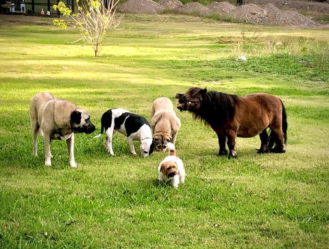 Absolute Riverfront Shipping Container Cabin - Sydneys Hotel 2