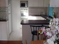 Book Forestville Accommodation Vacations Sydneys Hotel Sydneys Hotel