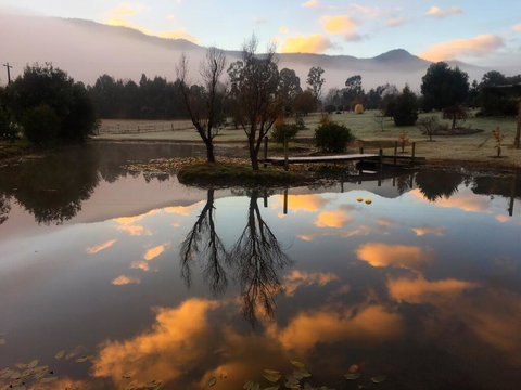 Acheron Acres Riverside - Sydneys Hotel 2