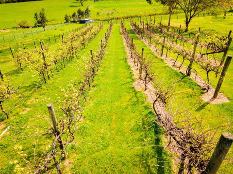 Heritage Holiday House No.15 - Sydneys Hotel 2