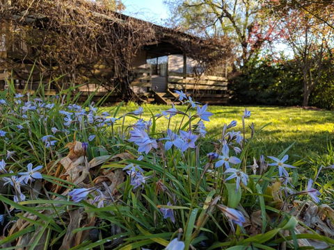 Alexander Cottage - Sydneys Hotel 3