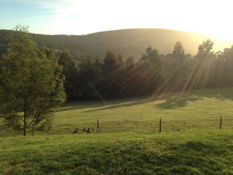 Arjuna Ridge Bed And Breakfast - Sydneys Hotel 0