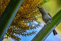 Book Karumba Accommodation Vacations Sydneys Hotel Sydneys Hotel
