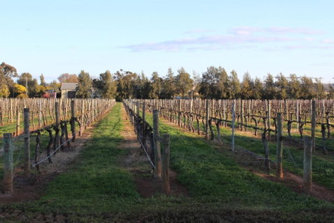 Milawa Vineyard Views - Guesthouse 1 - Sydneys Hotel 2