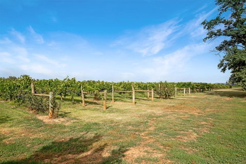 Milawa Vineyard Views - Guesthouse 2 - Sydneys Hotel 0