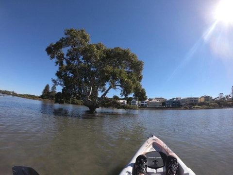 Moreton Bay Beach Lodge - Sydneys Hotel 1