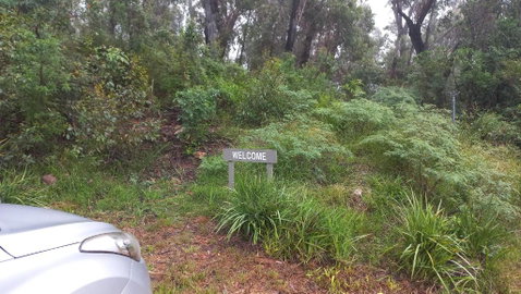 Mountain Tranquility - Sydneys Hotel 3