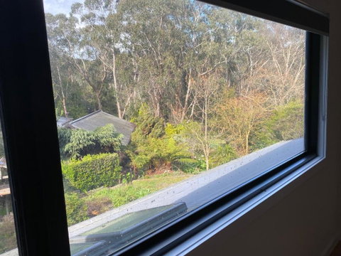 Pet And Friends B&B - Sydneys Hotel 3