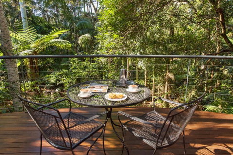 Pethers Rainforest Retreat - Sydneys Hotel 3
