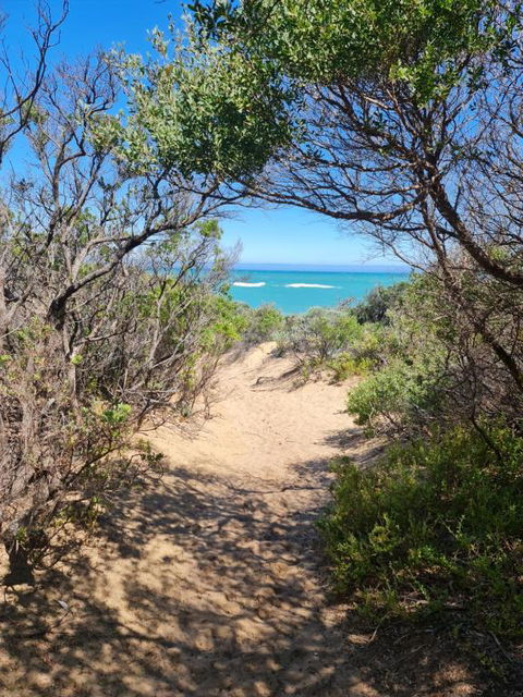 PIECE OF PARADISE, Huge 4 Bedroom Haven - Sydneys Hotel 0