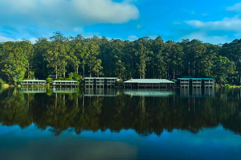 RAC Karri Valley Resort - Sydneys Hotel 2