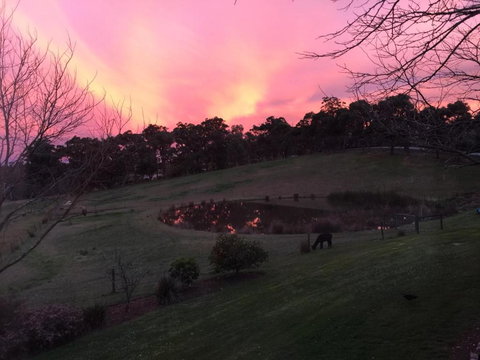 Raynella Alpaca Farmstay - Sydneys Hotel 3