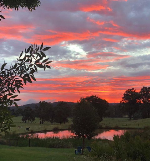 Raynella Alpaca Farmstay - Sydneys Hotel 2