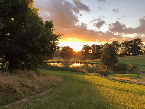 Raynella Alpaca Farmstay - Sydneys Hotel 1