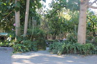 Book Macclesfield Accommodation Vacations Sydneys Hotel Sydneys Hotel