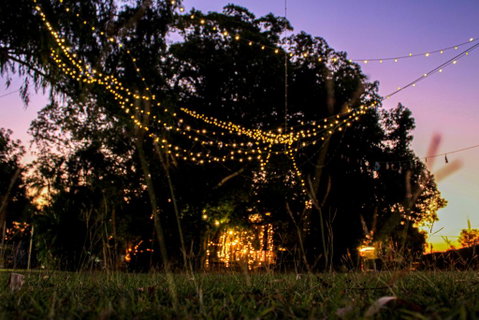 Banyan Tree - Sydneys Hotel 0