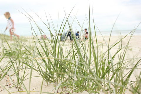 Beachfront At Bribie 2 Puppy Friendly - Sydneys Hotel 3
