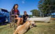 Reflections Ferry Reserve - Holiday Park - thumb 3