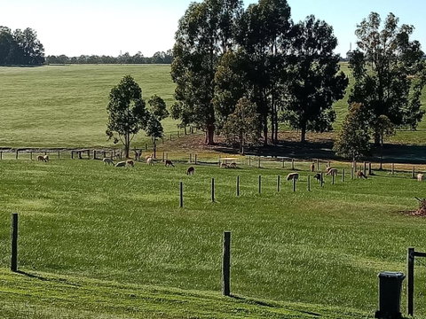 Redtail Ridge Cottages - Sydneys Hotel 1