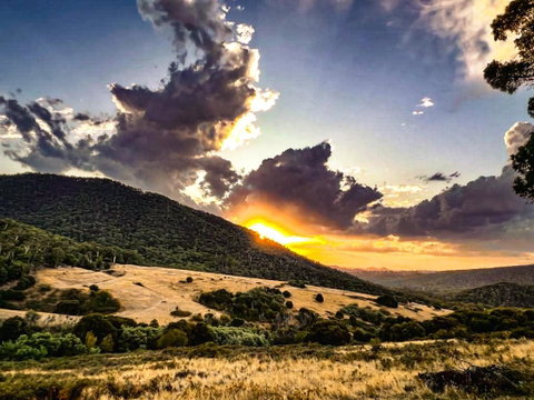 Roam Merrijig - Luxury Stay With Mountain Views - Foothills Of Mt Buller - Sydneys Hotel 1