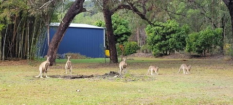 Roo Or 2 On Streeter - Sydneys Hotel 0
