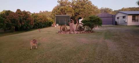 Roo Or 2 On Streeter - Sydneys Hotel 1