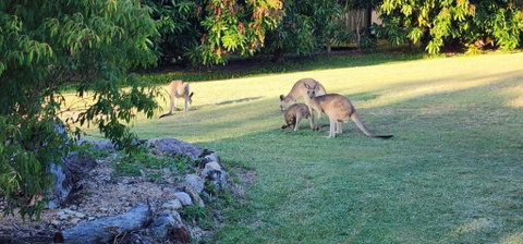 Roo Or 2 On Streeter - Sydneys Hotel 3
