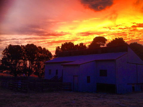 Beggs Farmstay B&B - Sydneys Hotel 1