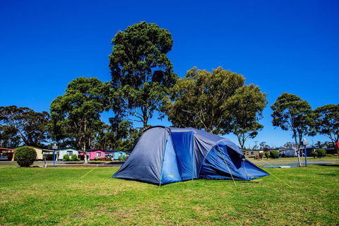 BIG4 Traralgon Park Lane Holiday Park - Sydneys Hotel 2