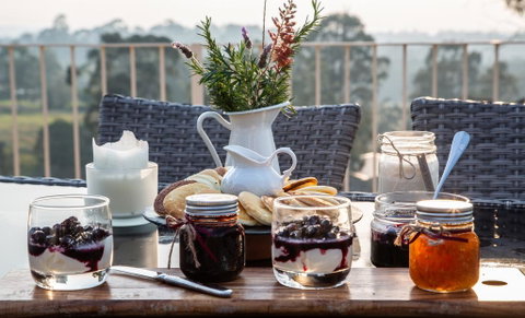 Blueberry Hills On Comleroy - Sydneys Hotel 2
