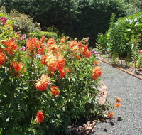 Boat Harbour Garden Cottages - Sydneys Hotel
