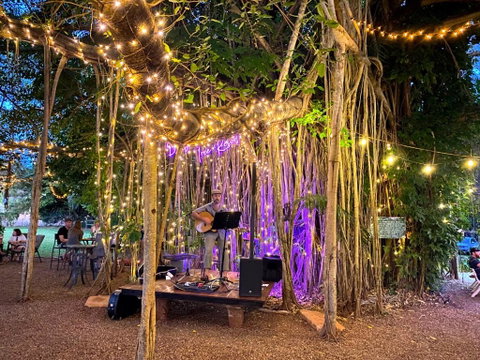 Banyan Tree - Sydneys Hotel 1