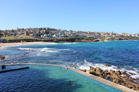 Private Tour: Sydney Highlights In A Day - Sydneys Hotel 1